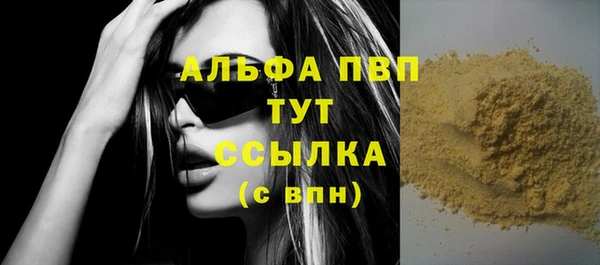 стафф Алексин