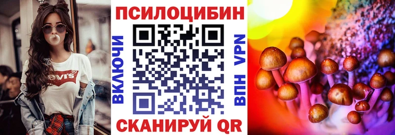 Псилоцибиновые грибы Cubensis  Олонец 
